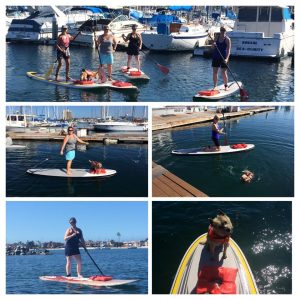 paddleboard retreat